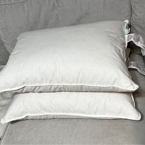 NWT West Elm European Down Pillow Insert Duo 2 One Medium One Soft $149 each